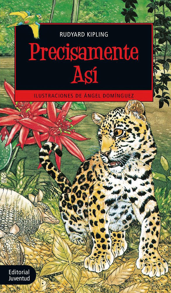 precisamente-asi
